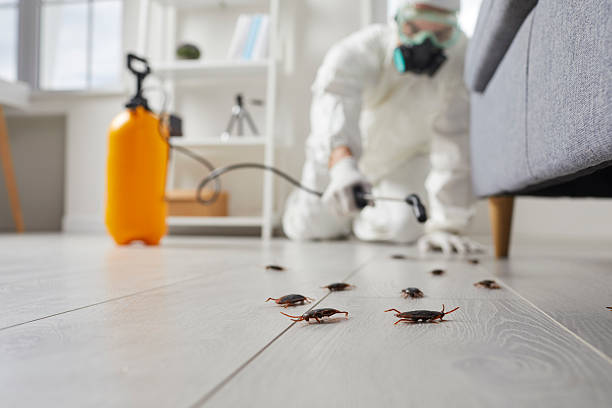 Commercial Kitchen Cockroach Control in Burr Ridge